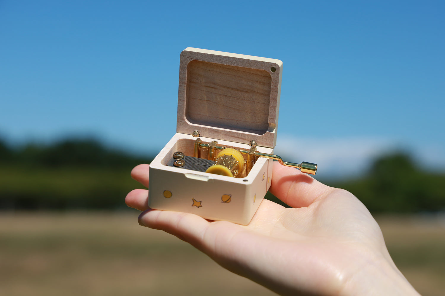 The Prince Hand-Cranked Music Box